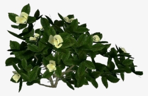 3d Flowers - Gardenia - Flowerpot #2878563
