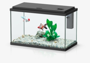 Funny Fish - Aquatlantis - Aquarium 243 L Fusion 101x40 Led Noir #2878802