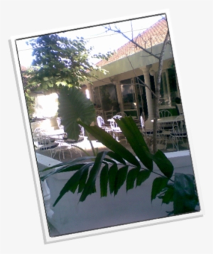 Free Wi-fi - Window #2878849