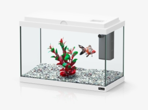 Funny Fish - Funny Fish Aquatlantis #2878851