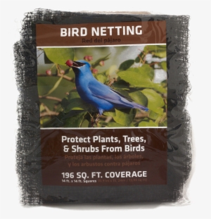 Bird-netting - Greenscapes 14 Ft. X 14 Ft. Bird Netting #2879624