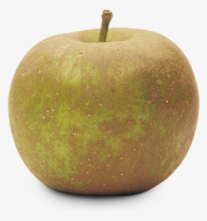Golden Russet - Granny Smith #2880285