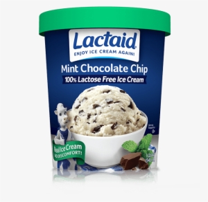 Lactaid® Mint Chocolate Chip Ice Cream - Lactaid Ice Cream #2881400