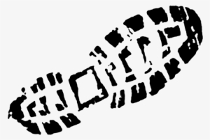 Picture - Steiner Wildlife Pro - Binoculars 8 X 30 #2881638