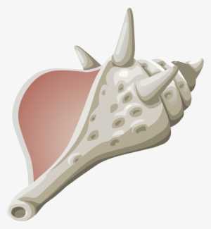 This Free Icons Png Design Of Misc Conch #2881792
