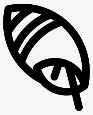 Conch Comments - Conch #2882028