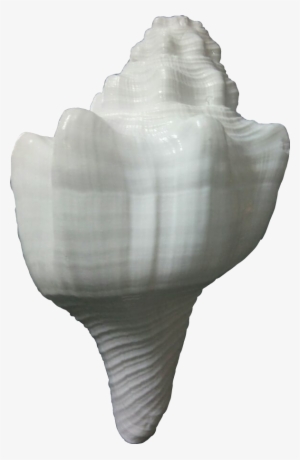 Product Image Big - Product #2882075