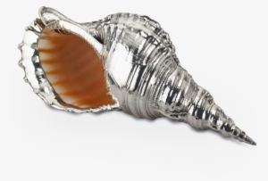 Buccellati - Centerpieces - Charonia Tritonis - Silver - Charonia Tritonis #2882209