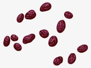 Raisins - Wiki #2882231