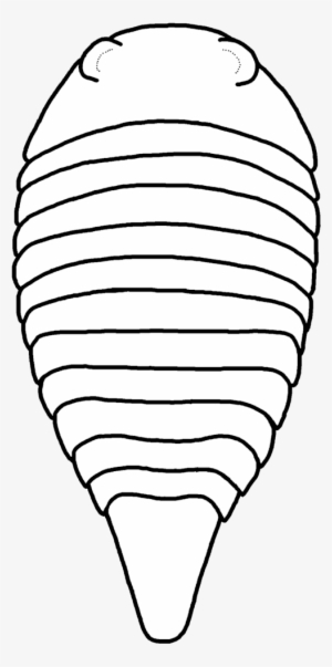 Paleomerus Hamiltoni - Paleomerus #2882466