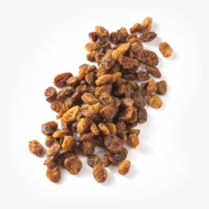Raisin #2882509