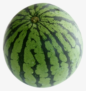 Gift Watch - Watermelon Fruits Sport Metal Watch #2882744