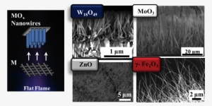 Flame Synthesis Of Metal Oxide Nanowires Using Atmospheric - Metal Oxide Nanowires #2883105