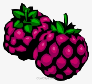 Blackberries Royalty Free Vector Clip Art Illustration - Gif De Mora #2883391