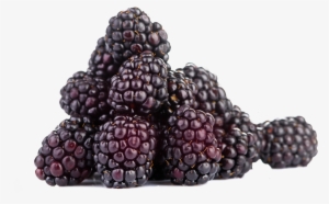 Raspberry Blackberry Blueberries #2883477