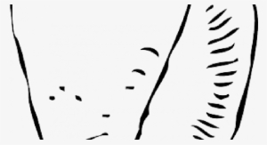 Skill Cartoon Fish Outline Black Outline Drawing White - Clip Art #2883693