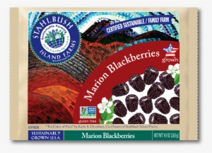 A Truly Oregon Berry, Marion Blackberries Or Marionberries - Stahlbush Island Farms #2883803