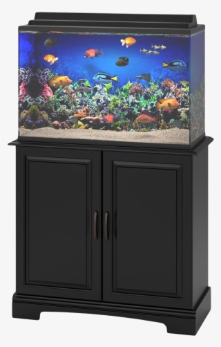 Aquarium Fish Tank Png Transparent Image - Fishtank Png #2883822