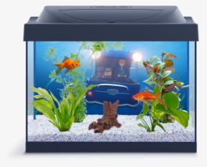 Minion Aquarium #2883832