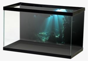 Underwater Cave - Hd Aquarium Background Film #2883950