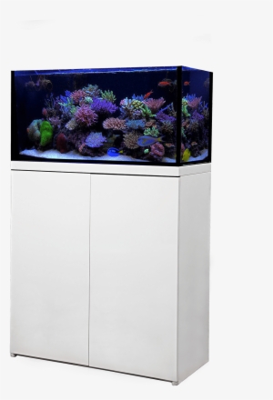 Lux Aquarium Tank Systems Click Here For More Informaiton - Reef Octopus Lux 90 #2884231
