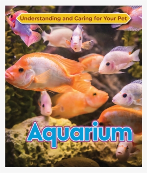 Aquarium #2884391