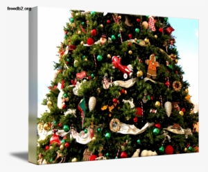 Kirkland Christmas Tree By Rick Takagi Kirklands Christmas - Christmas Tree #2884412