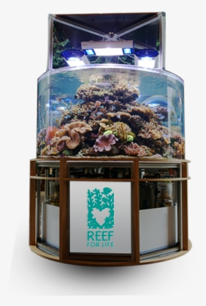 Add Value To Infrastructure - Aquarium #2884414