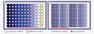Serial Dilution Plate Map For 96 Well And 384 Well - 96 Well Plate Dilution #2884483