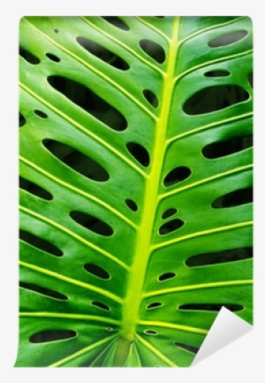Zen Art Monstera Leaf Wooden Jigsaw Puzzle #2886208