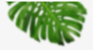 Blurred Image Of A Leaf Frond - Leaf #2886402