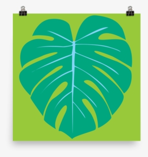 Monstera Leaf 2 By Graeme Luey - Swiss Cheese Plant #2886424