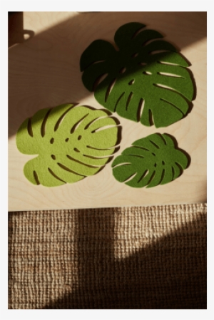 Felt Monstera Leaf Trivet - Trivet #2886501