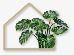 Pop In And See Us - London #2886579