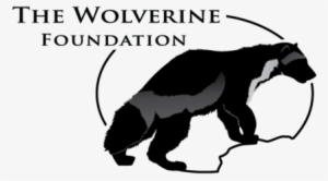 Wolverine Foundation #2887313