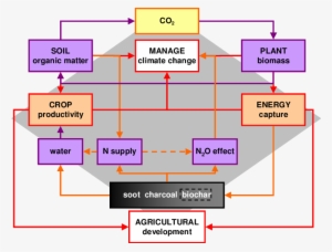 The Key Physical , Natural (orange Arrows) And Anthropogenic - Diagram #2887387