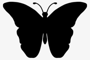 Silueta De Una Mariposa #2887878