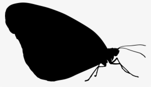 Butterfly Silhouette Black Wing Insect - Brush-footed Butterfly #2888055