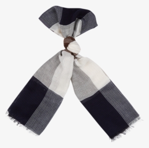 Clio Club Check Scarf - Scarf #2888082
