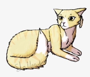 Owls Shave Their Heads - Kitten #2888674