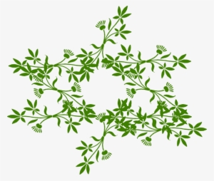Green Vine Border Clipart - Creative Use Of Emotion [book] #2888809