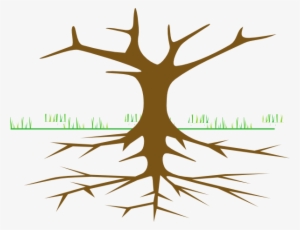 Cartoon Tree Without Leaves Clipart #2888907