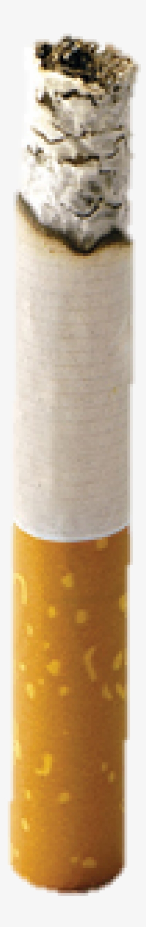 Então Como É Que Os Químicos Chegam Ao Interior Dos - Transparente Cigarro Png #2890250
