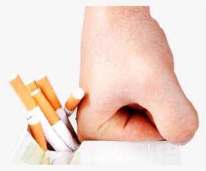 Nosso Blog - Bueno Fumar #2890699