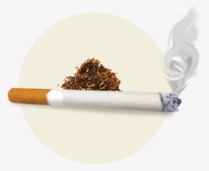 Cigarro - Cigarette #2890746