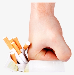 Nosso Blog - Paper #2890776