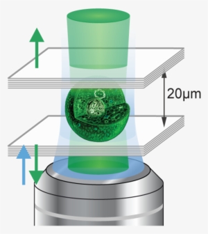 Living Laser Schematic - Laser Quimico #2891051