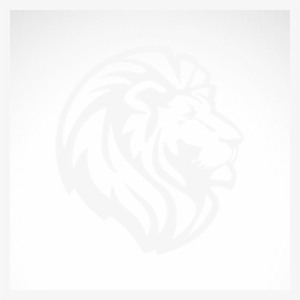 Simple Lion Head - Simple Lion Head Drawing #2891945