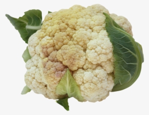 Cauliflower Png Image - Cauliflower Png #2892517