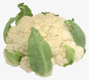 Cauliflower Cliparts #2892519